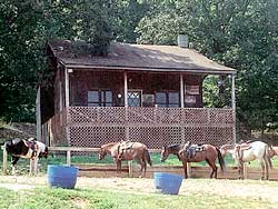 horseback riding