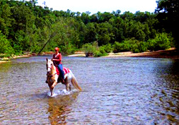 horseback riding