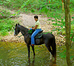 missouri horseback riding