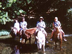 horseback riding