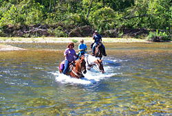 horseback riding